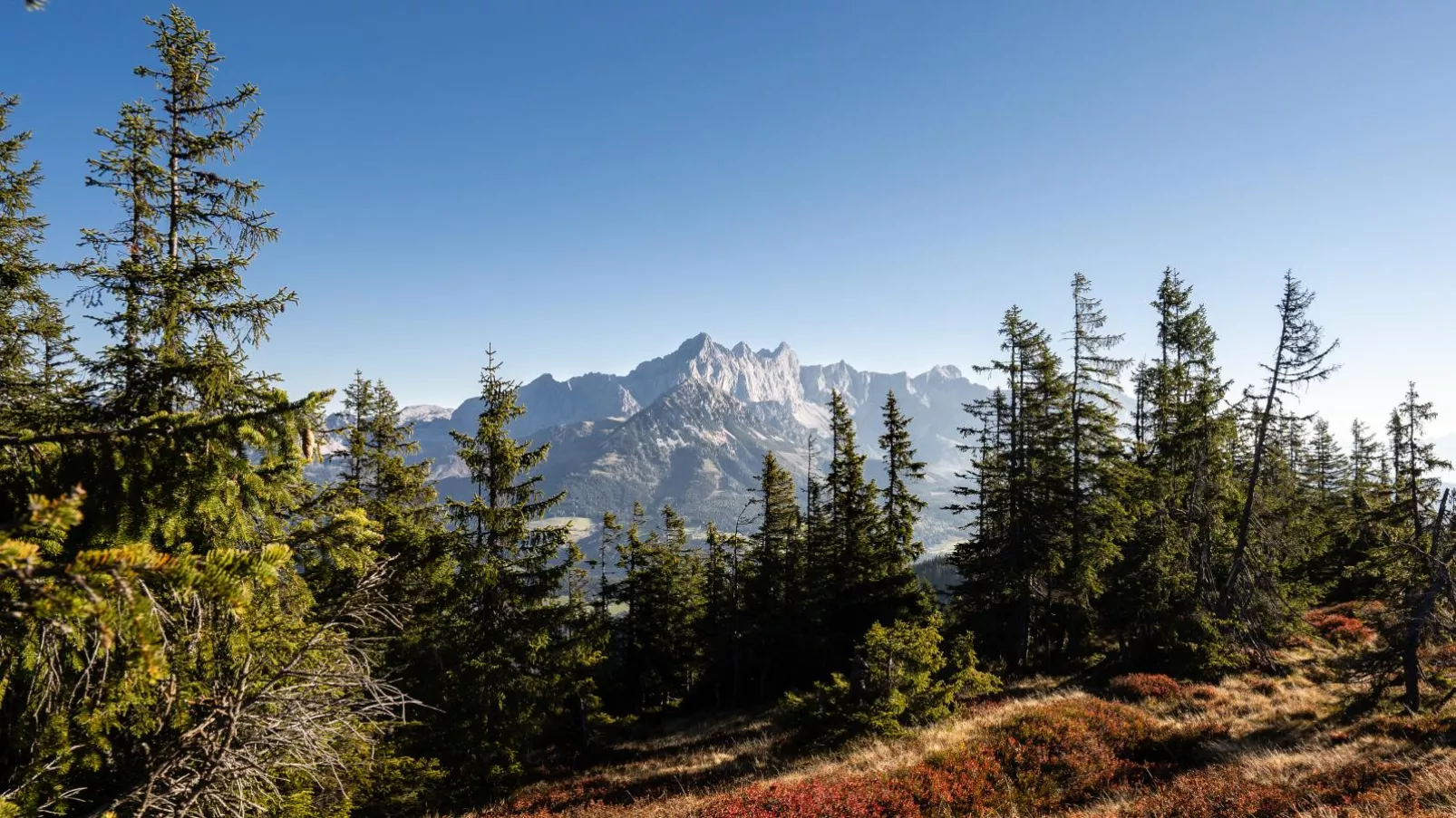 Schattbergblick-Areas summer 20km