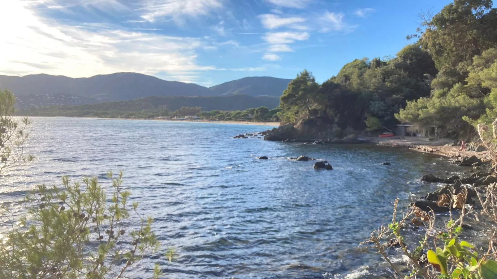 Loumic-Areas summer 1km