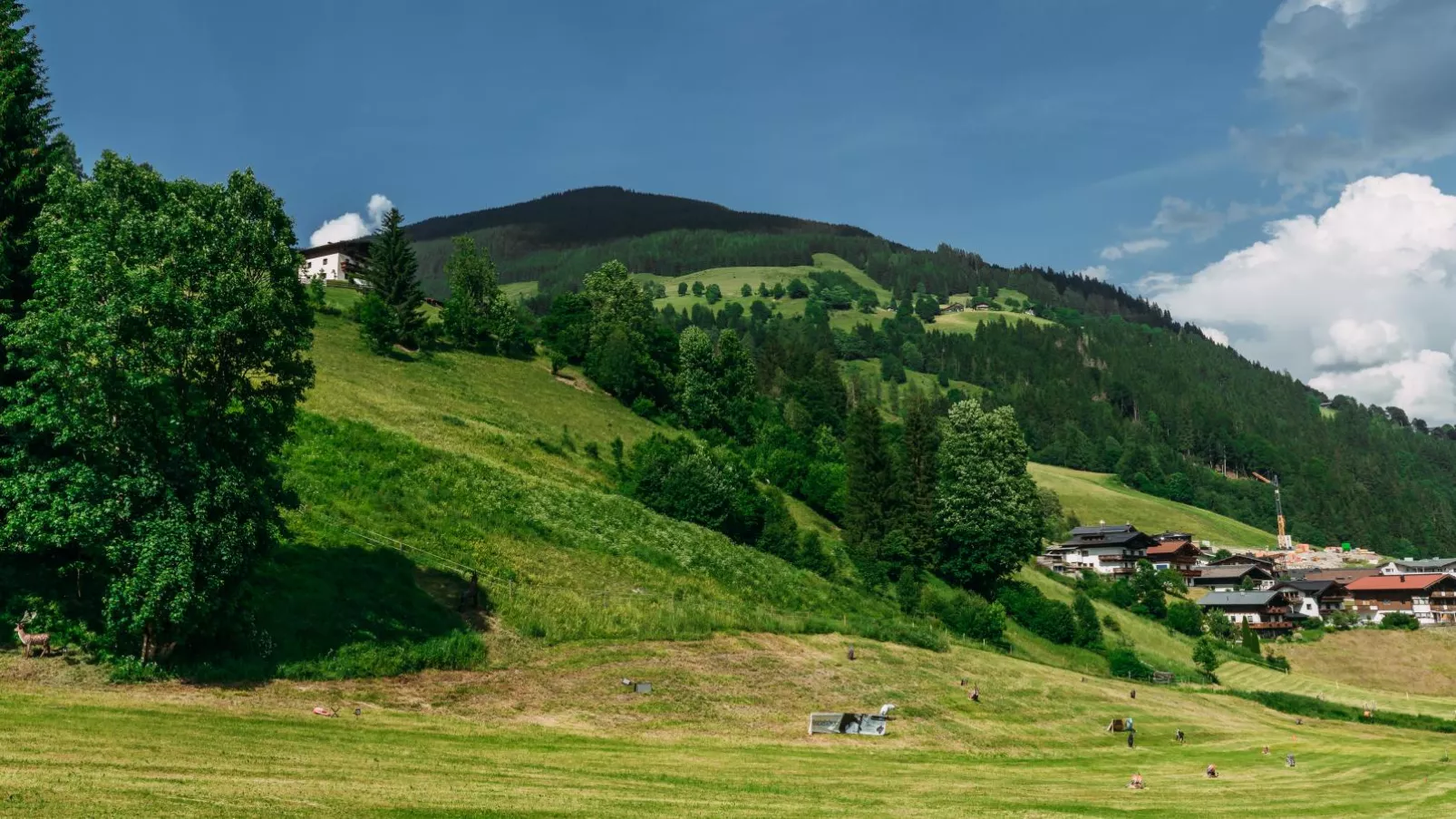 Drei Berge Top 7-Areas summer 1km
