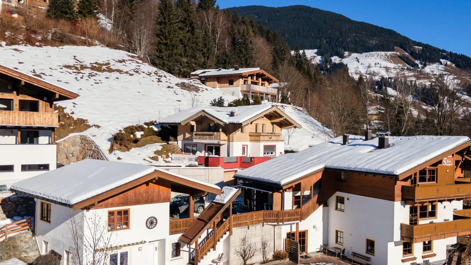 Alpensteinbock Saalbach D-Exterior in winter