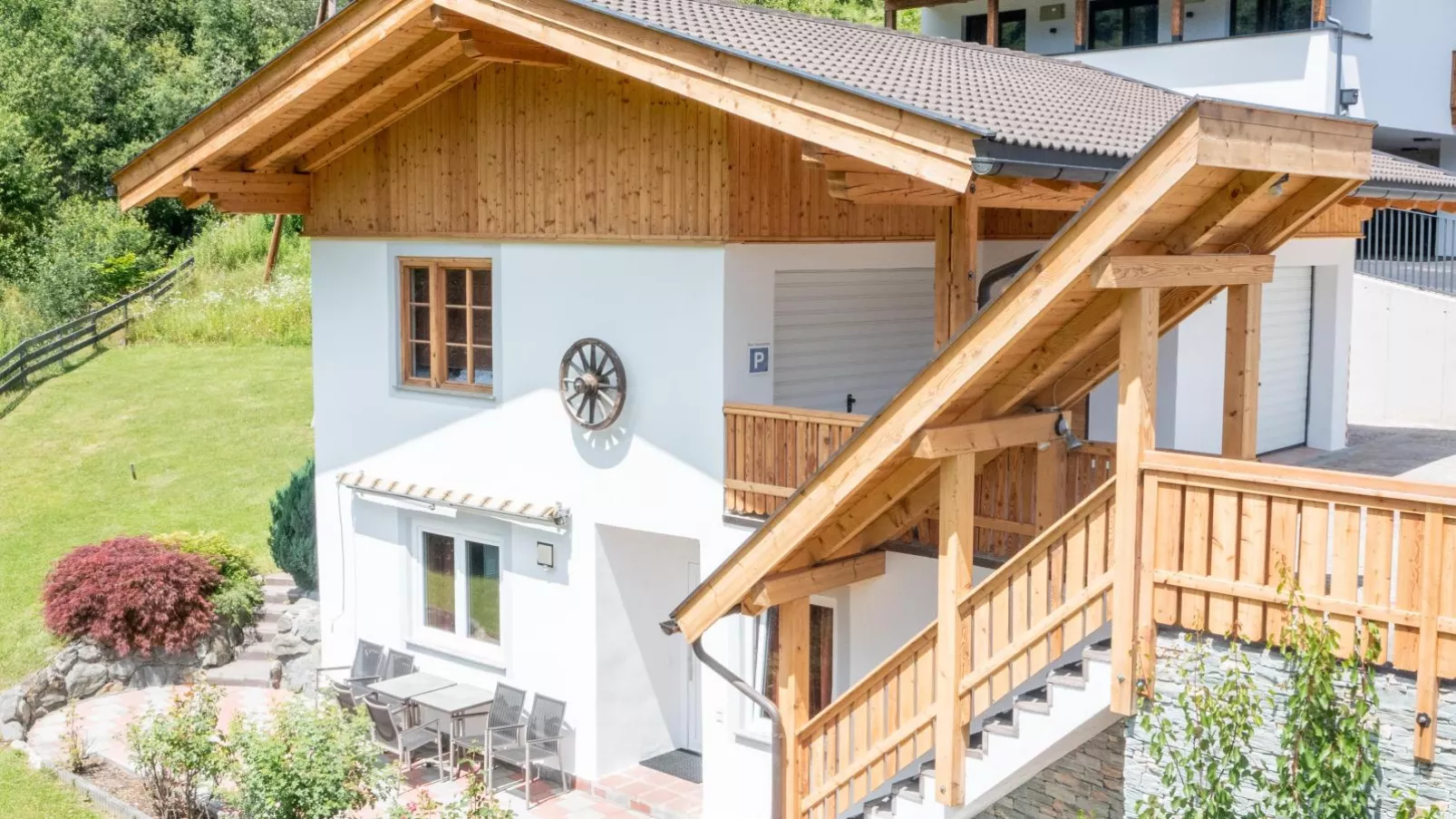 Alpensteinbock Saalbach D-Exterior in summer