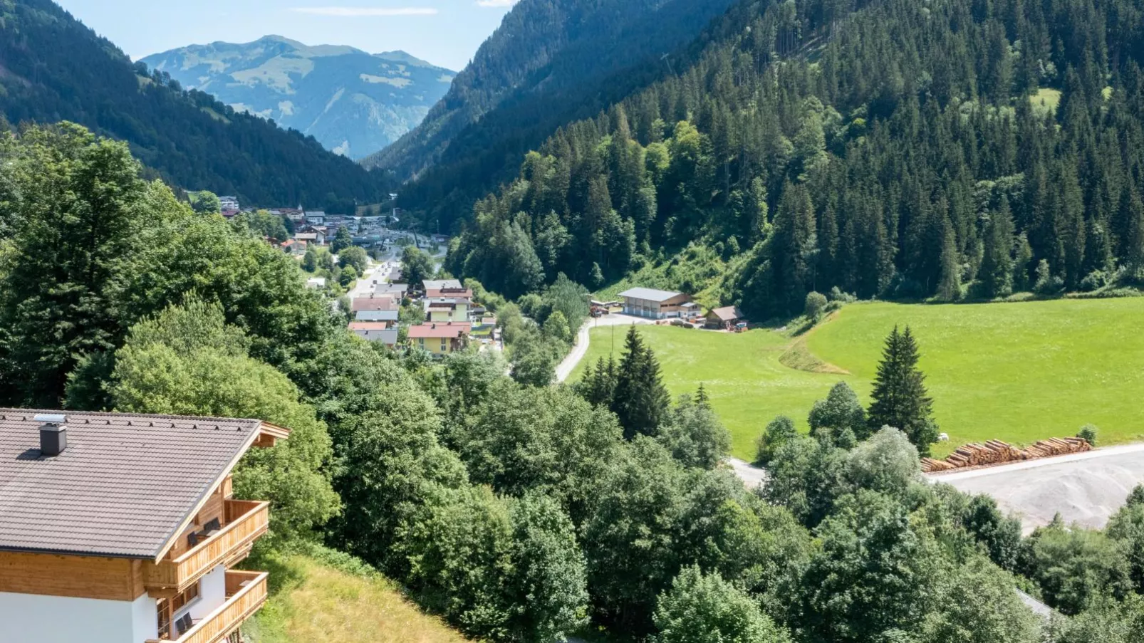 Alpensteinbock Saalbach D-View in summer