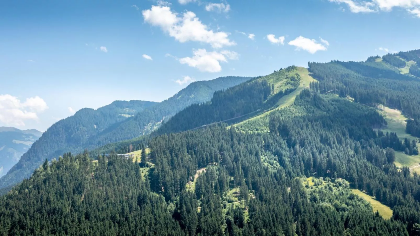 Alpensteinbock Saalbach D-Areas within 20km in summer