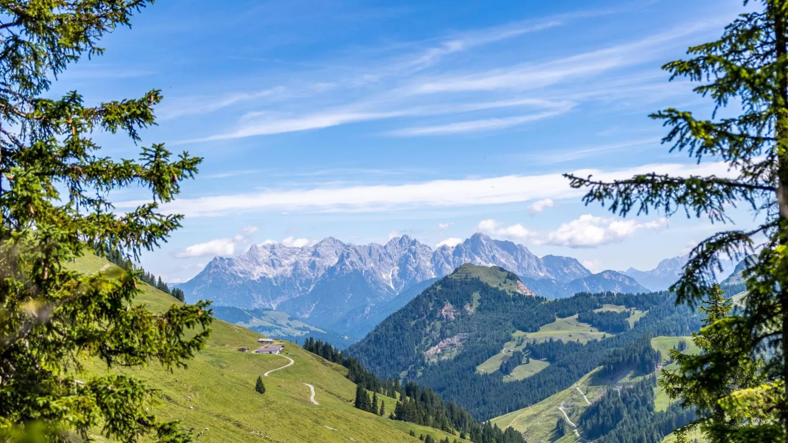 Alpensteinbock Saalbach D-Areas within 20km in summer