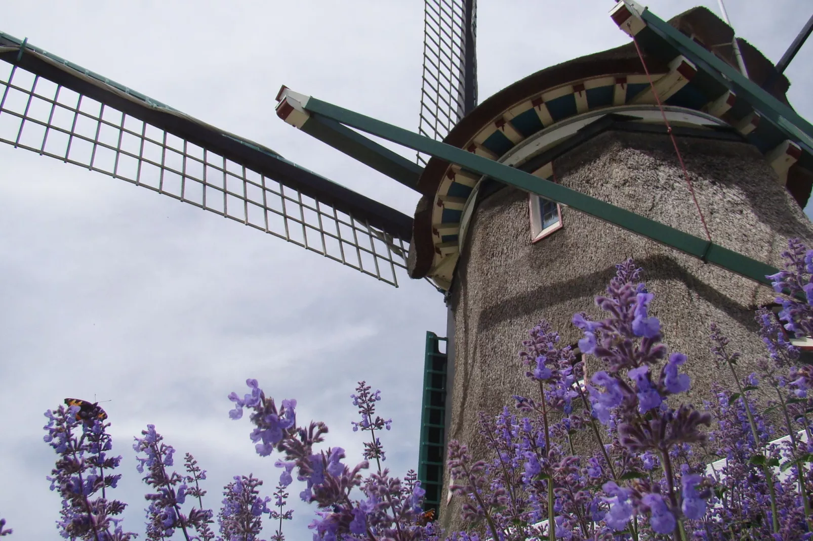 Onder de Molen 24 pers-Ambiente
