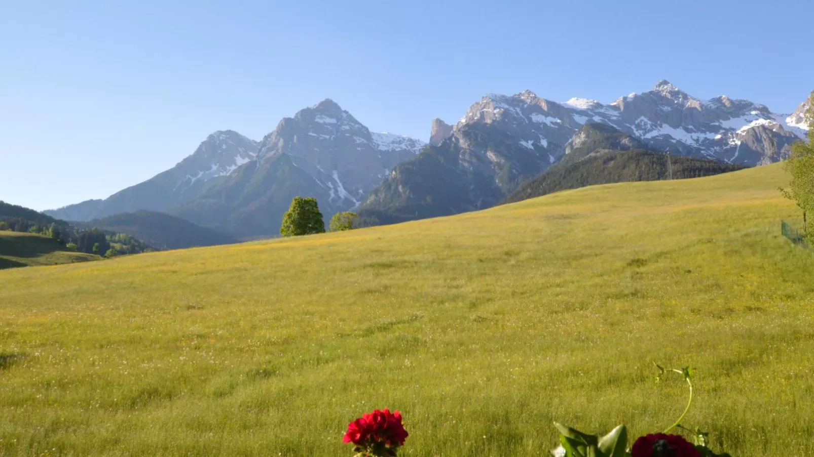 Sommerstein-View summer