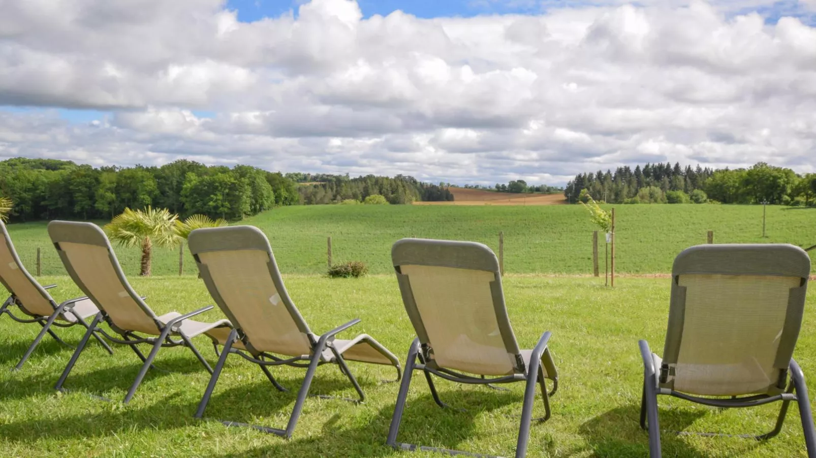 Grande Gite Bassoues-View summer