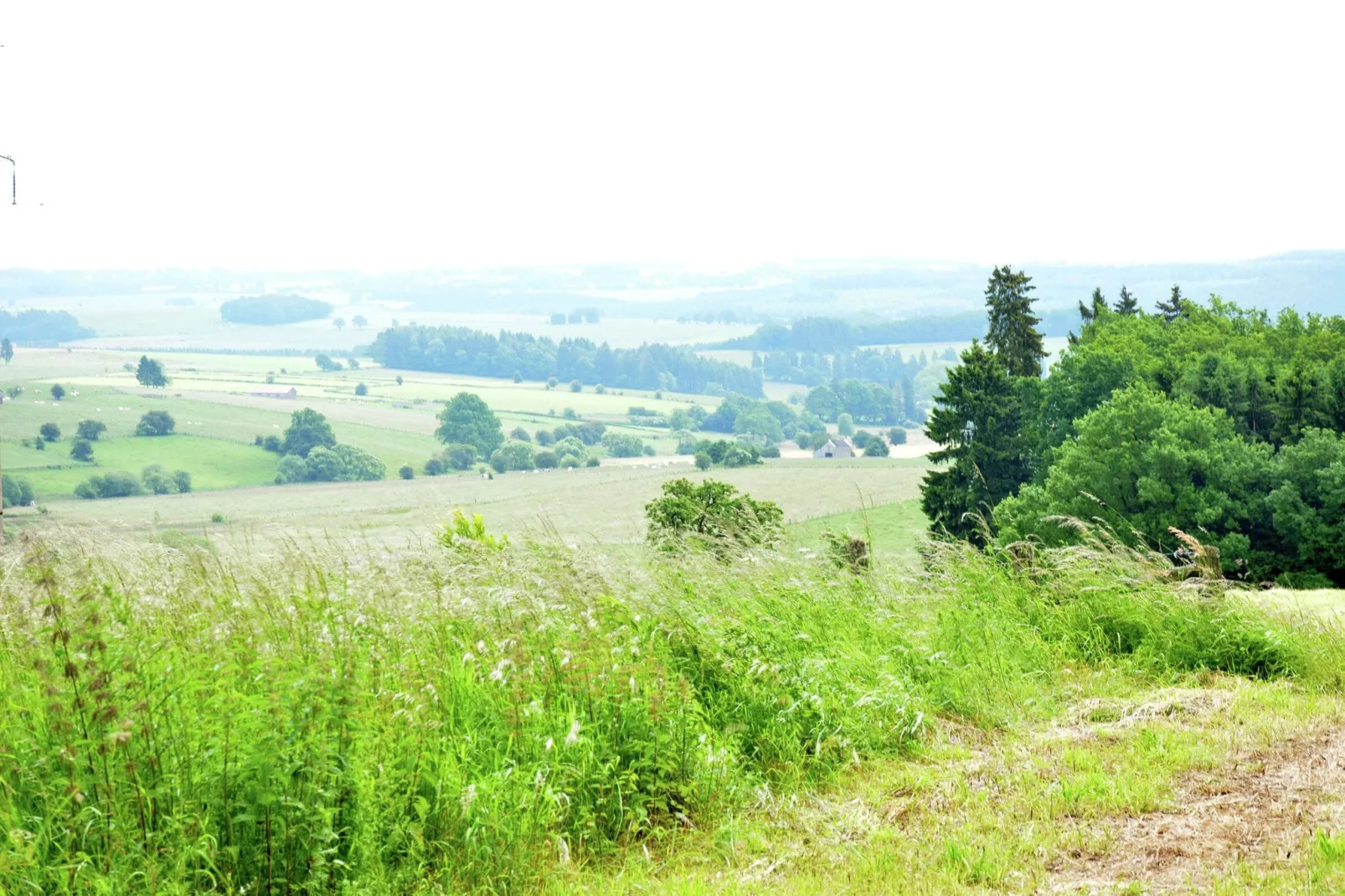Sapin-Paul-Areas summer 1km