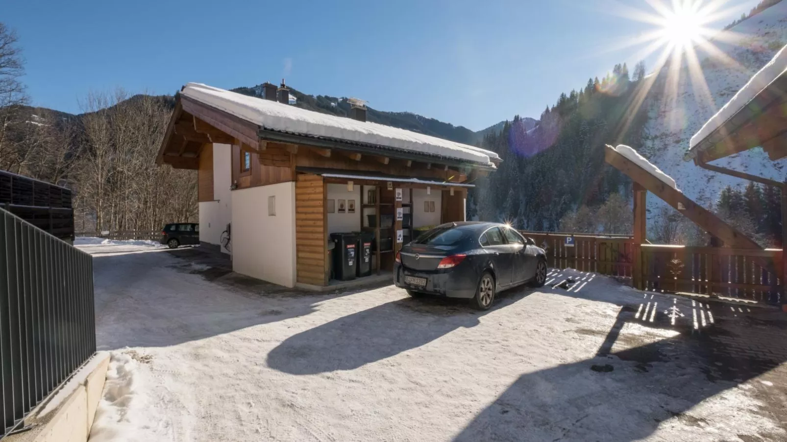 Alpensteinbock Saalbach-Exterior winter