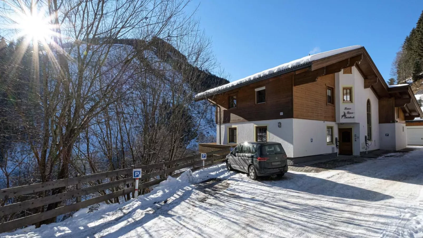 Alpensteinbock Saalbach-Exterior winter