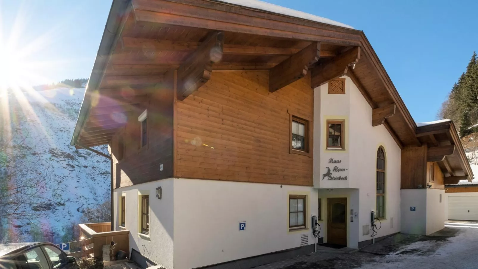 Alpensteinbock Saalbach-Exterior winter