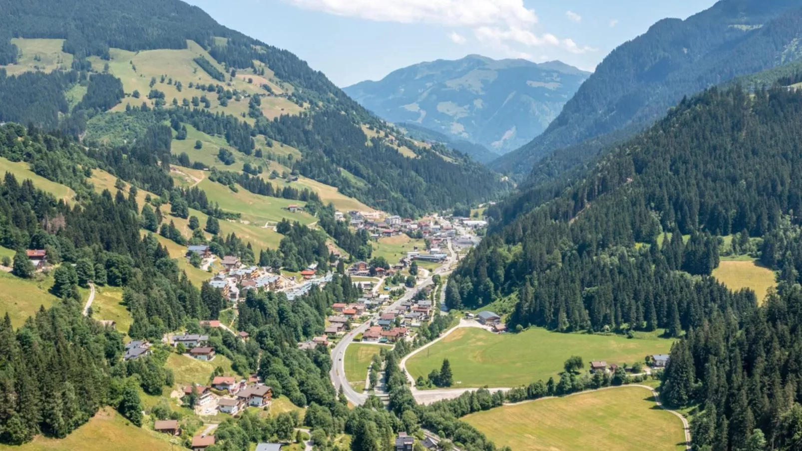 Alpensteinbock Saalbach-Areas summer 20km