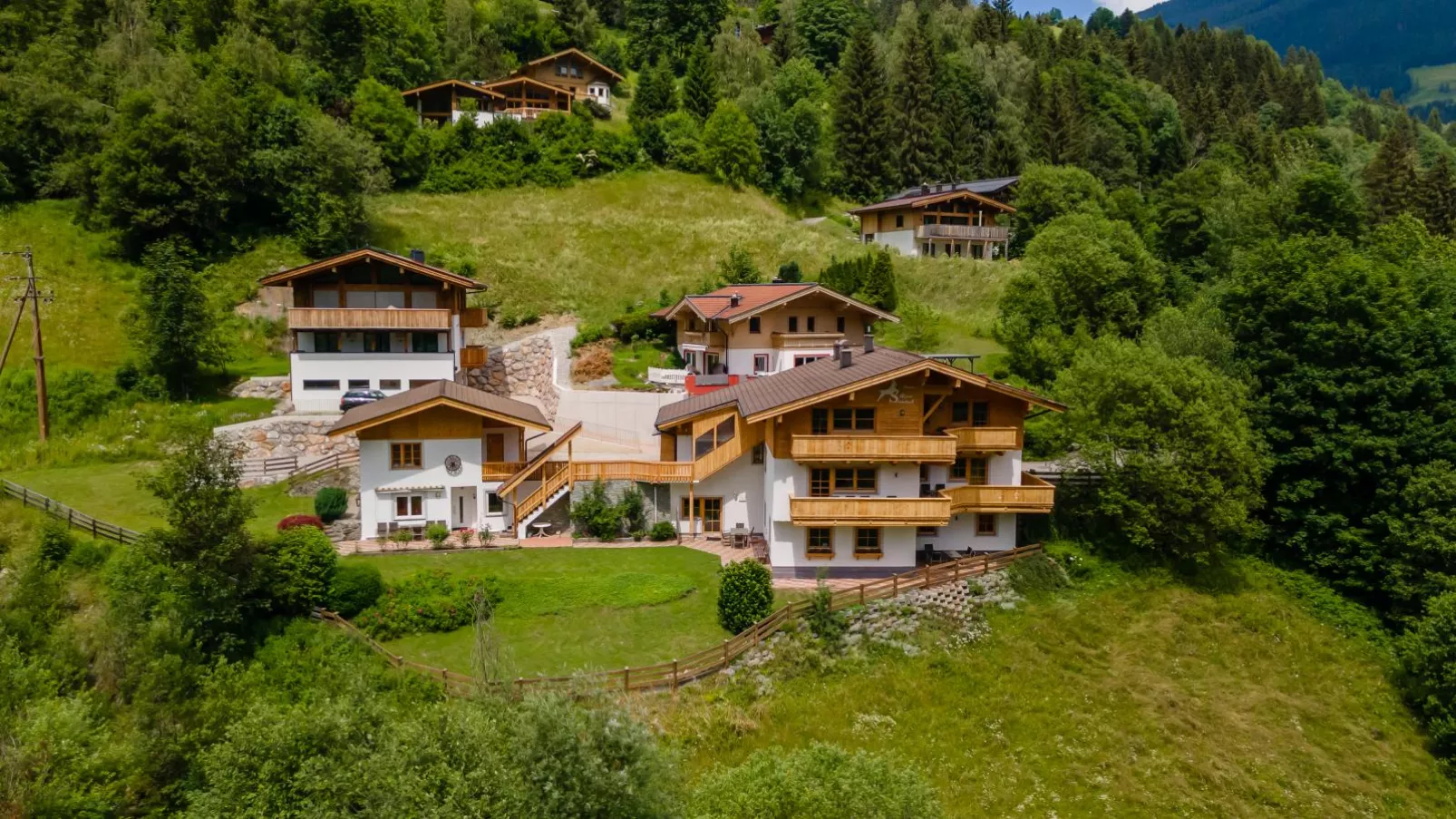 Alpensteinbock Saalbach-Exterior summer