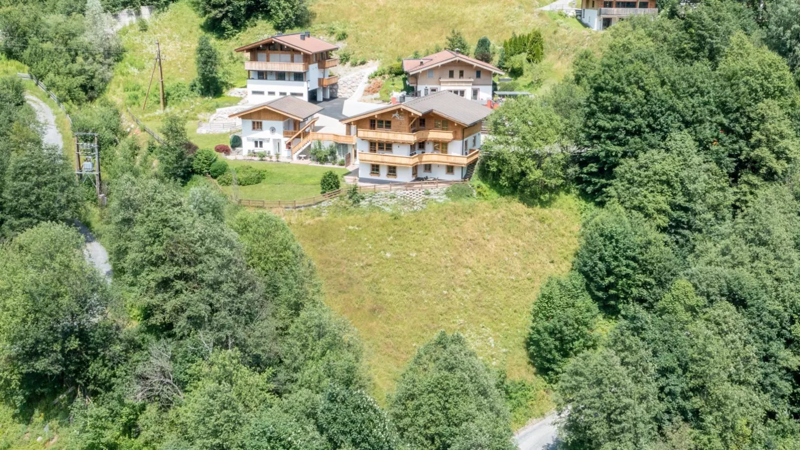 Alpensteinbock Saalbach-Exterior summer