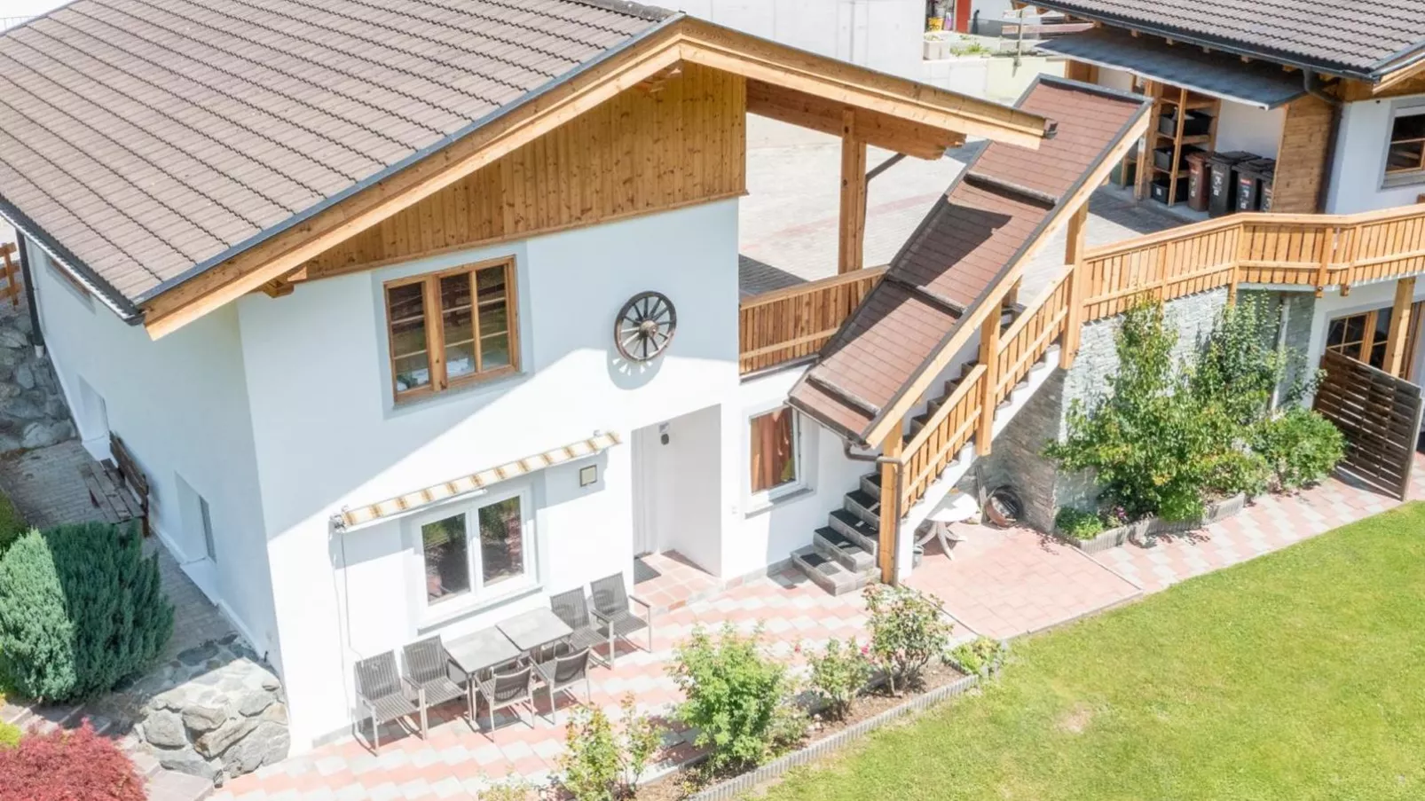 Alpensteinbock Saalbach-Exterior summer