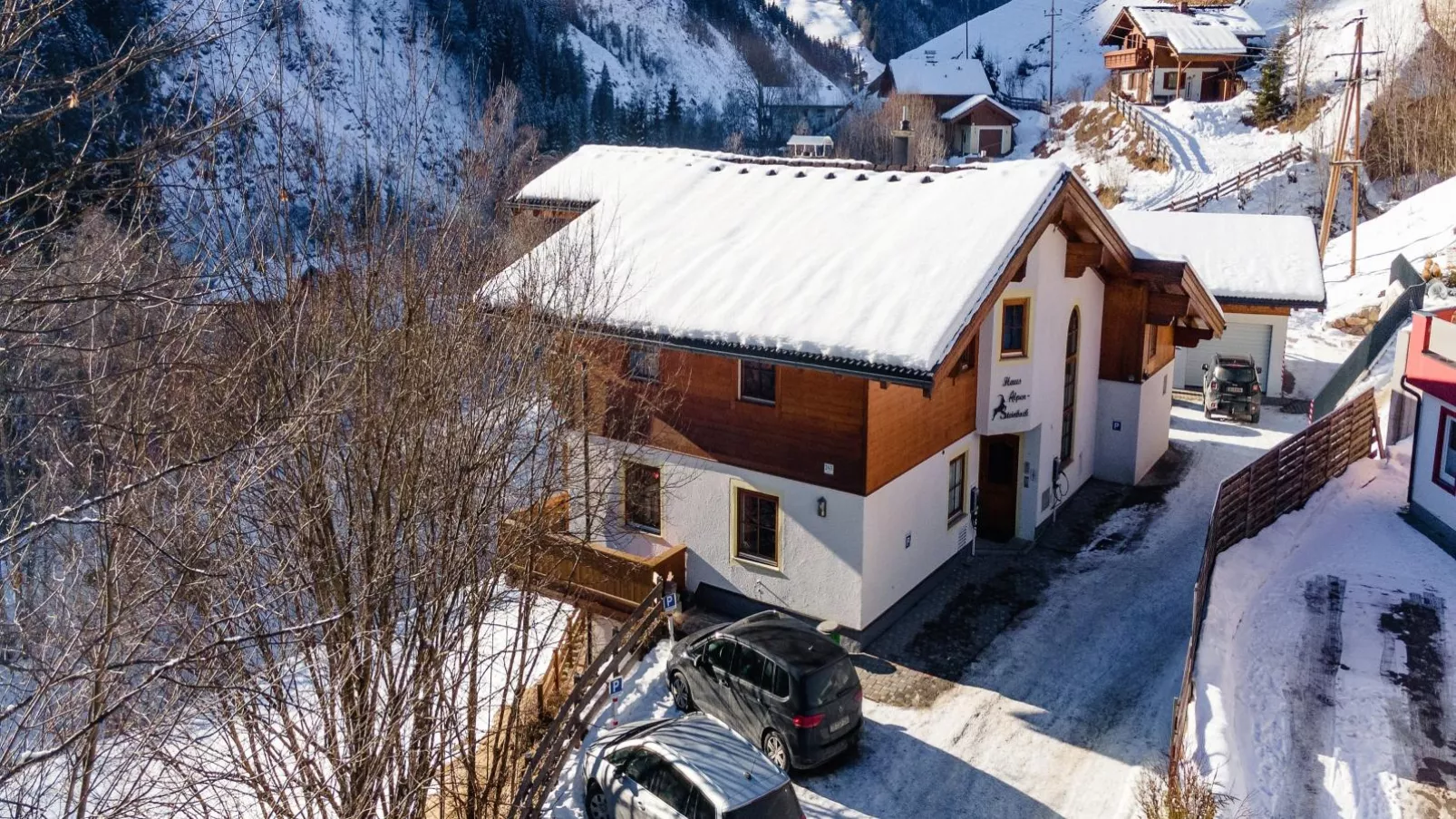 Alpensteinbock Saalbach-Exterior winter