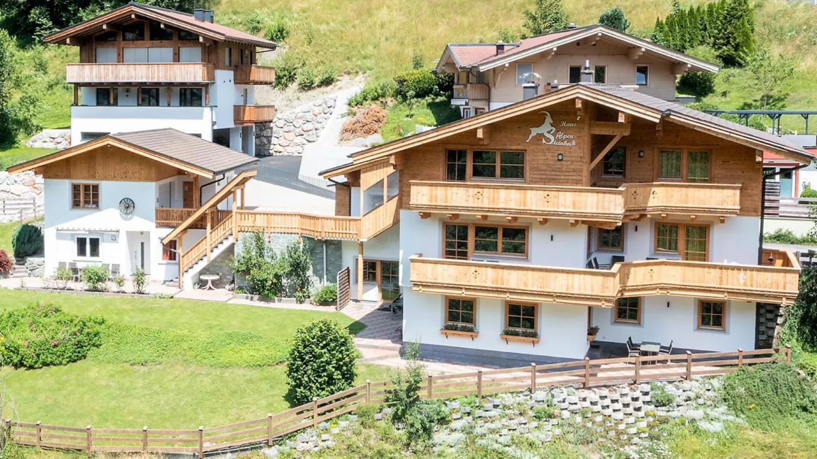 Alpensteinbock Saalbach