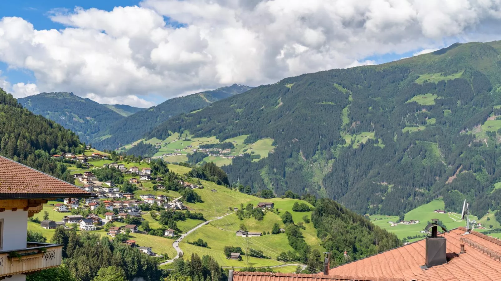 Obersteiner 2-View summer