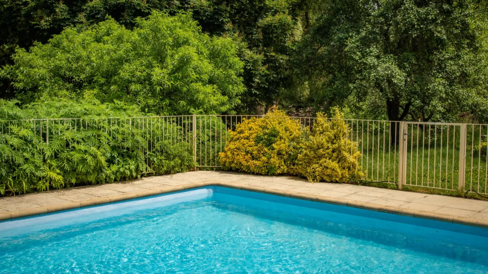 Gite Moulin de lAlbarède-Pool