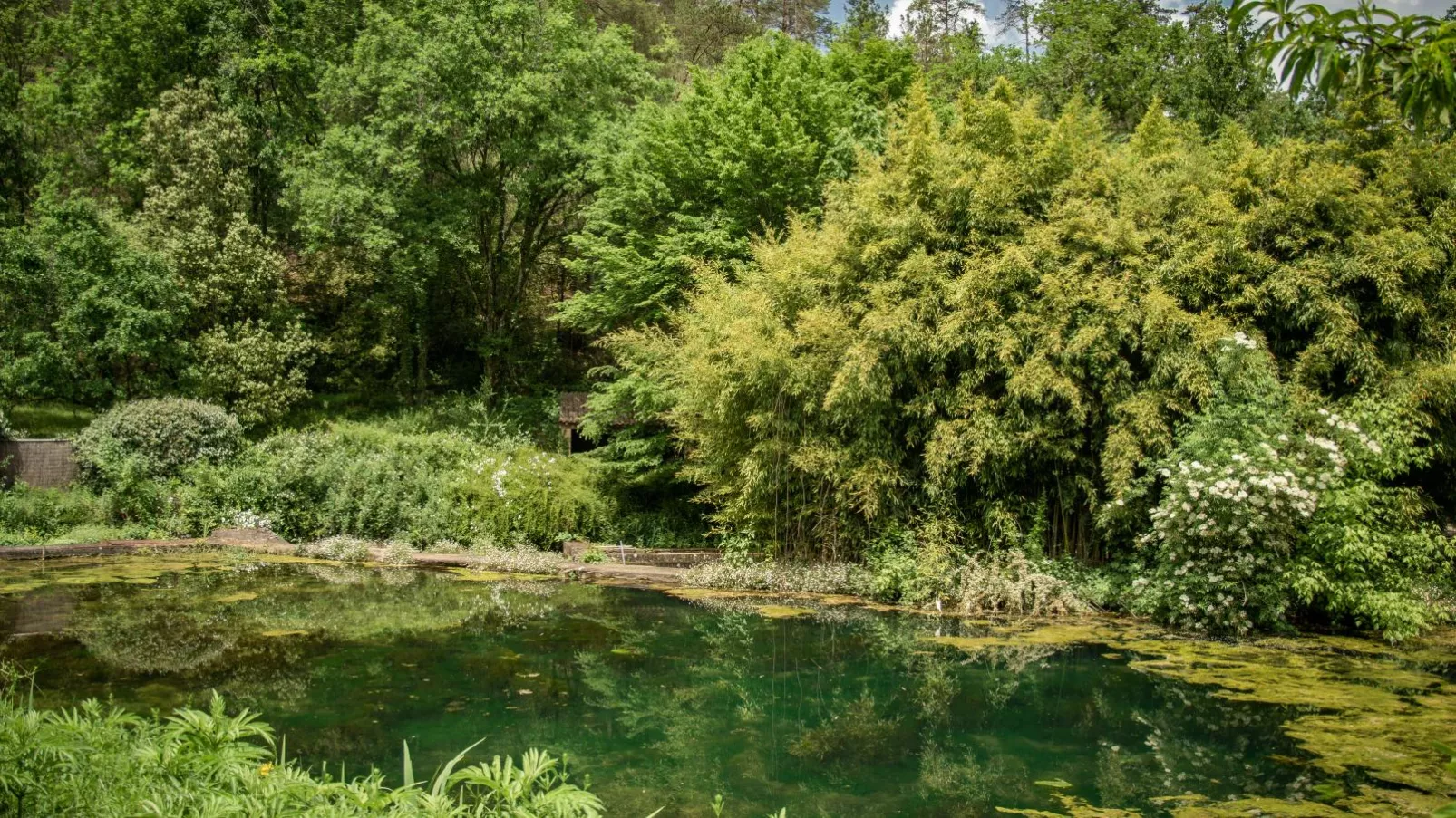 Gite Moulin de lAlbarède-Gardens summer