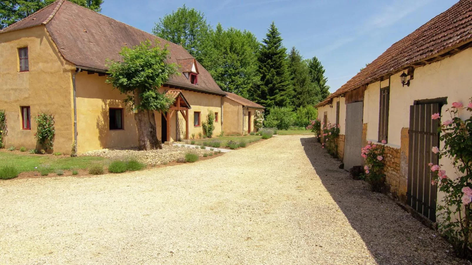 Gite Demy-Exterior summer