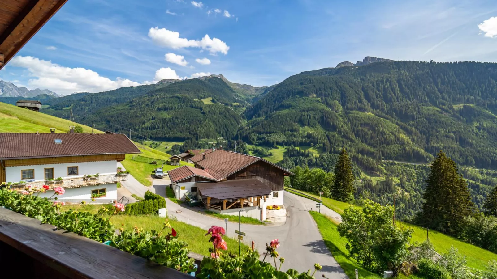 Ferienhaus Almhof-View summer