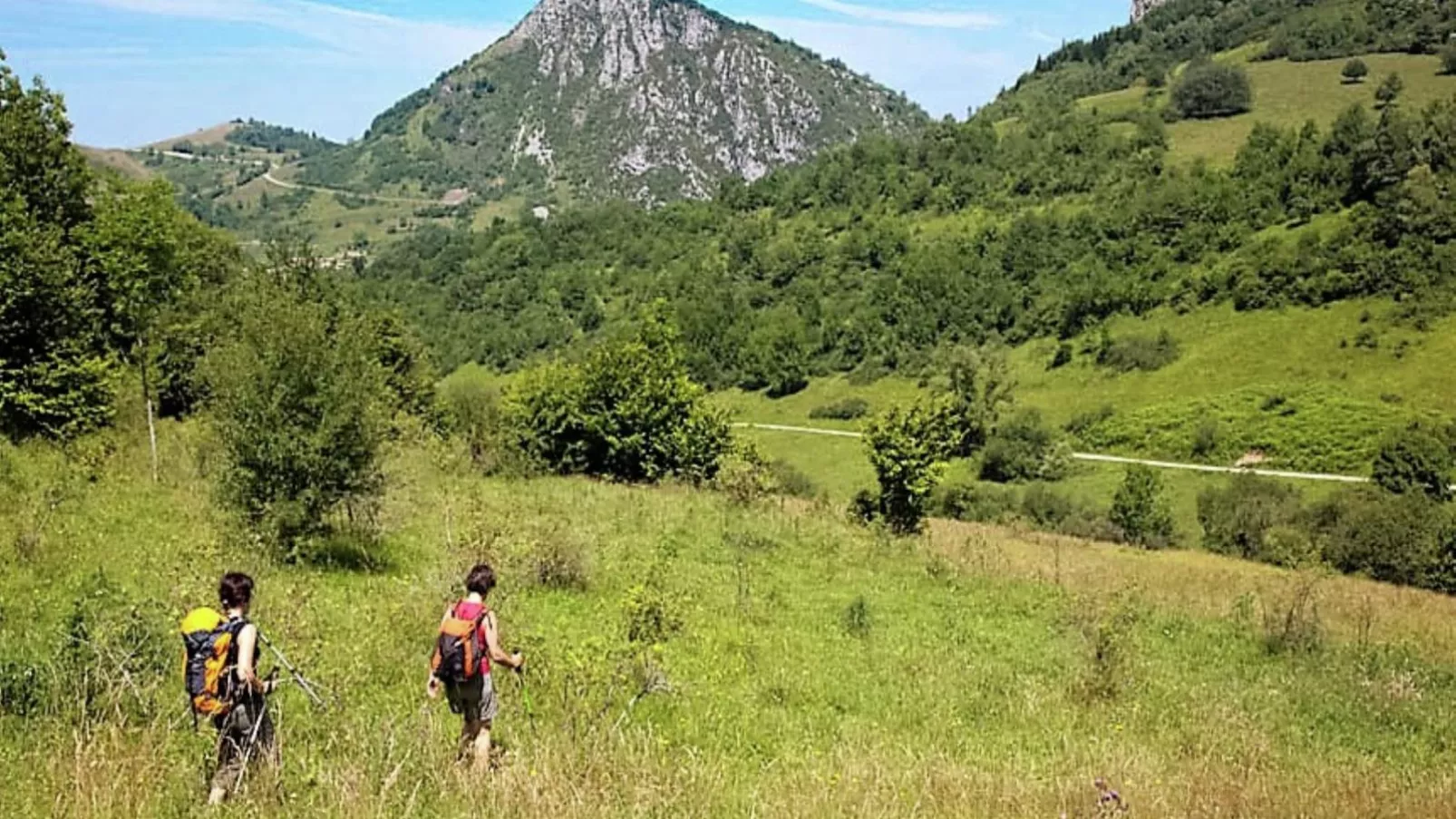 Gite Moderne de Lourdes-Areas summer 5km
