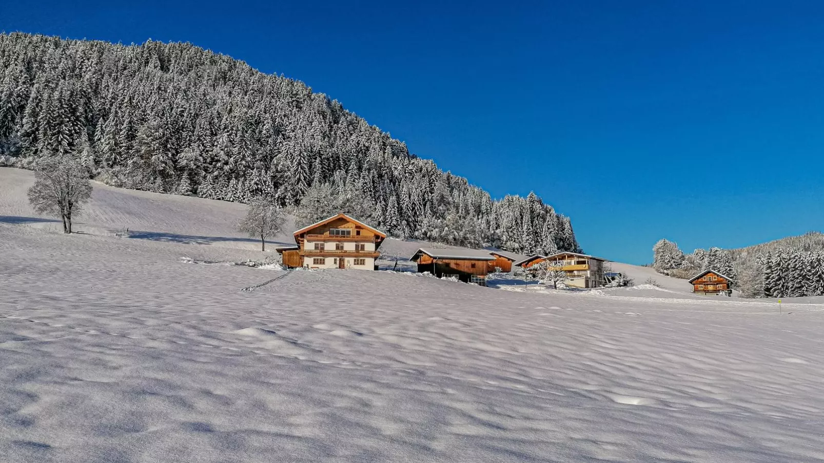 Flicklhof XL-Exterior winter