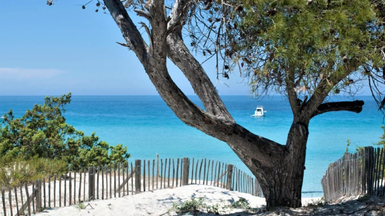 De la Plaine-Areas summer 5km