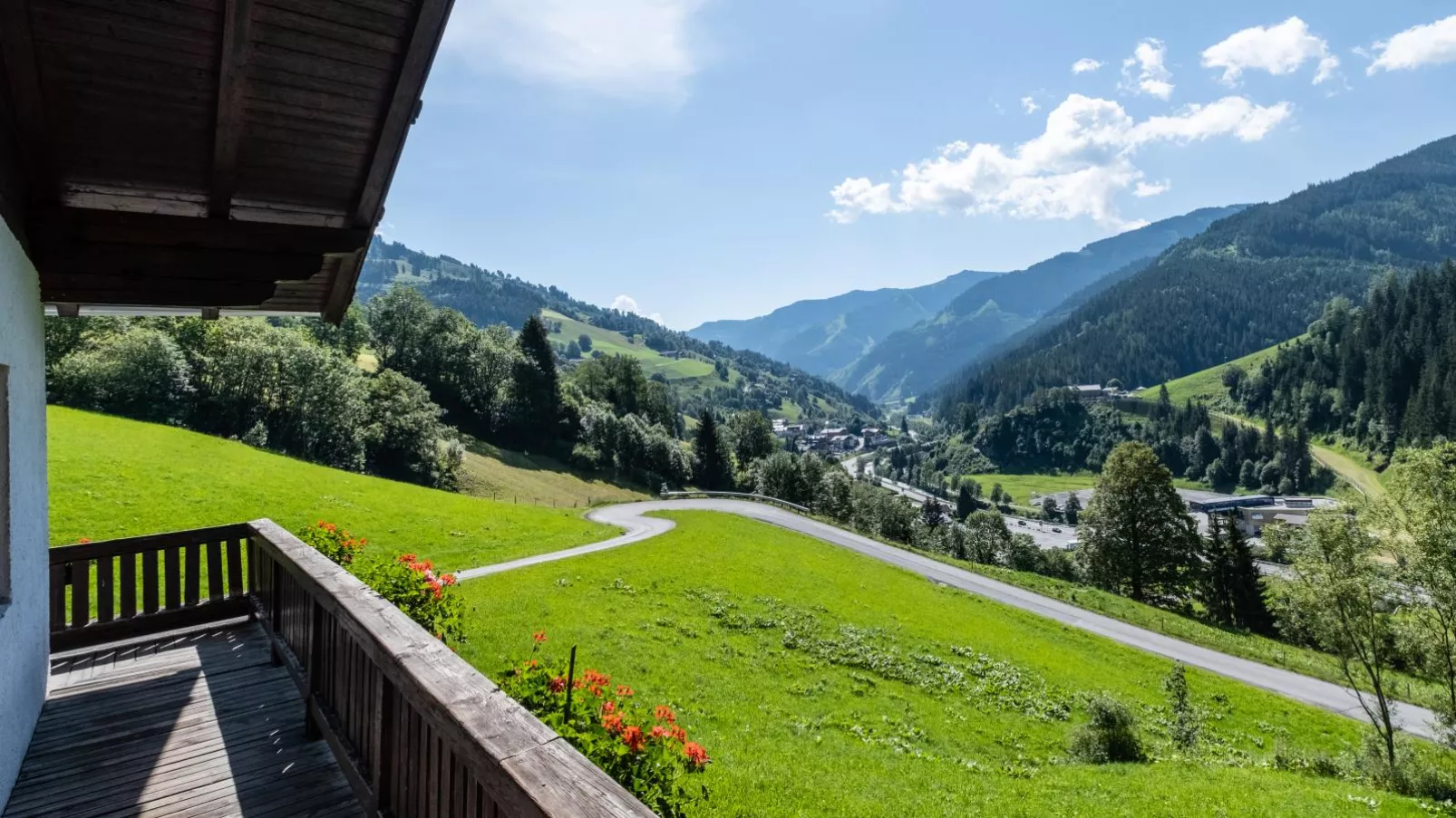 viewsummer
