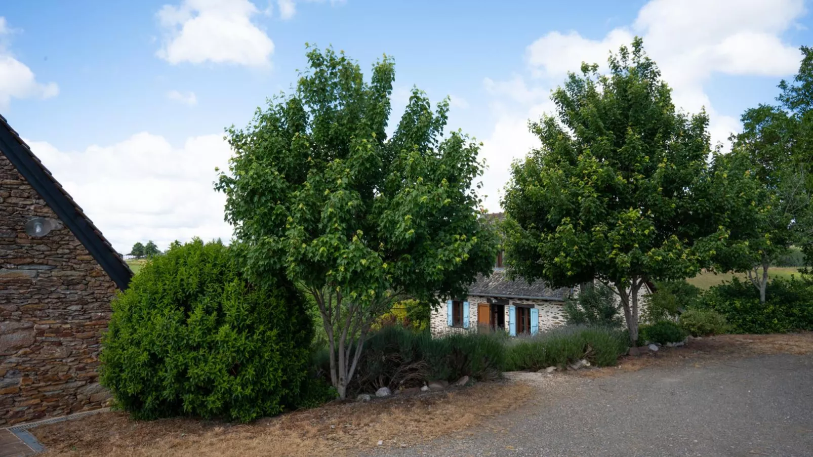 Gite Les Corbieres-Außenbereich Sommer