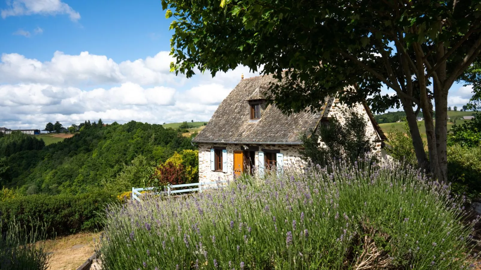 Gite Les Corbieres-Außenbereich Sommer
