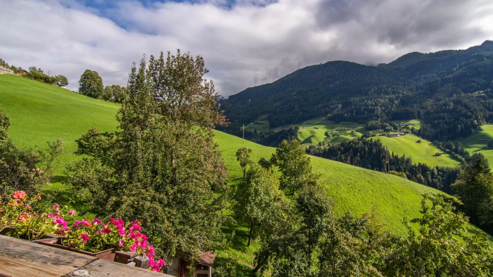 Blaserhof-View summer