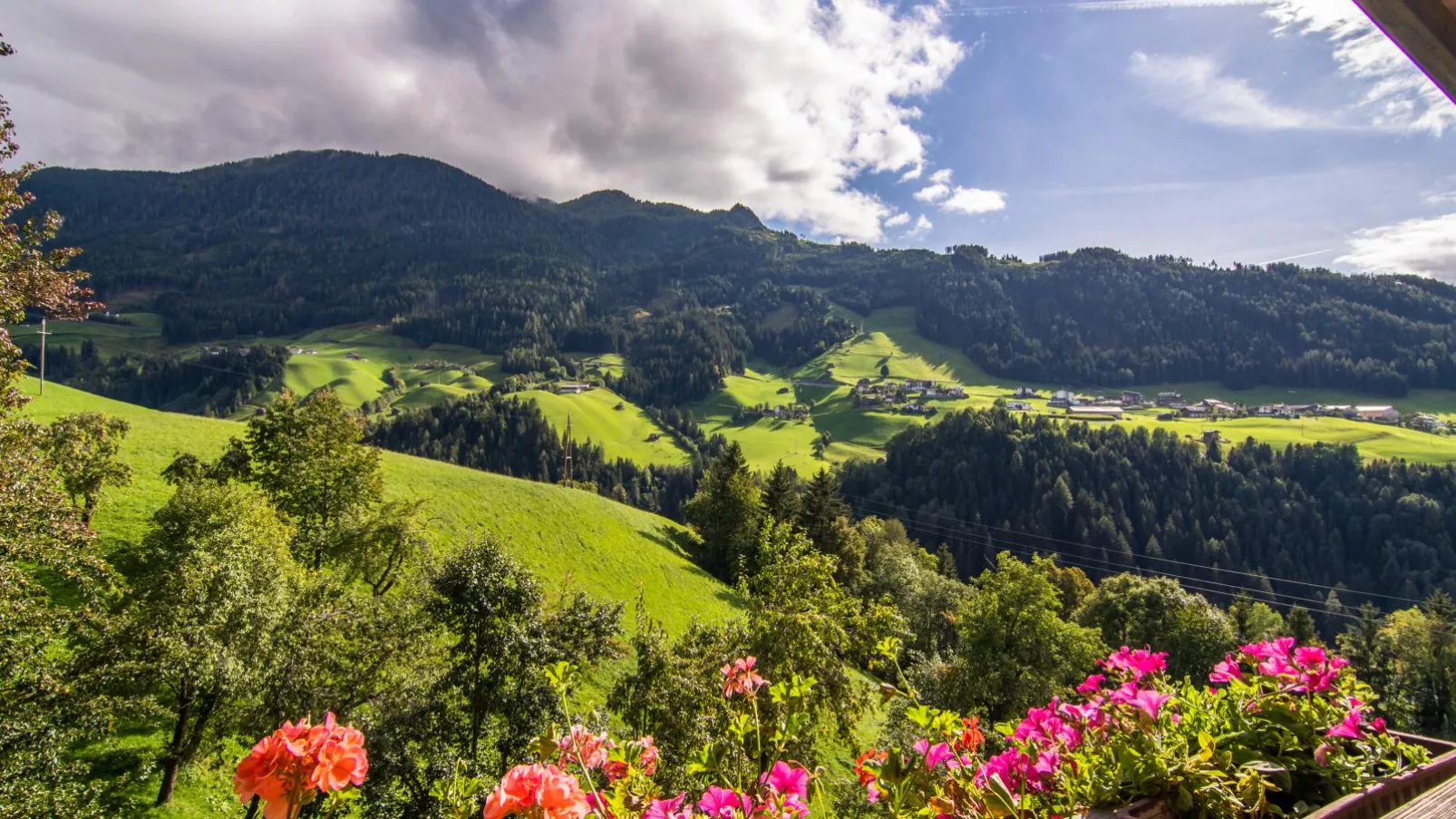 Blaserhof-View summer