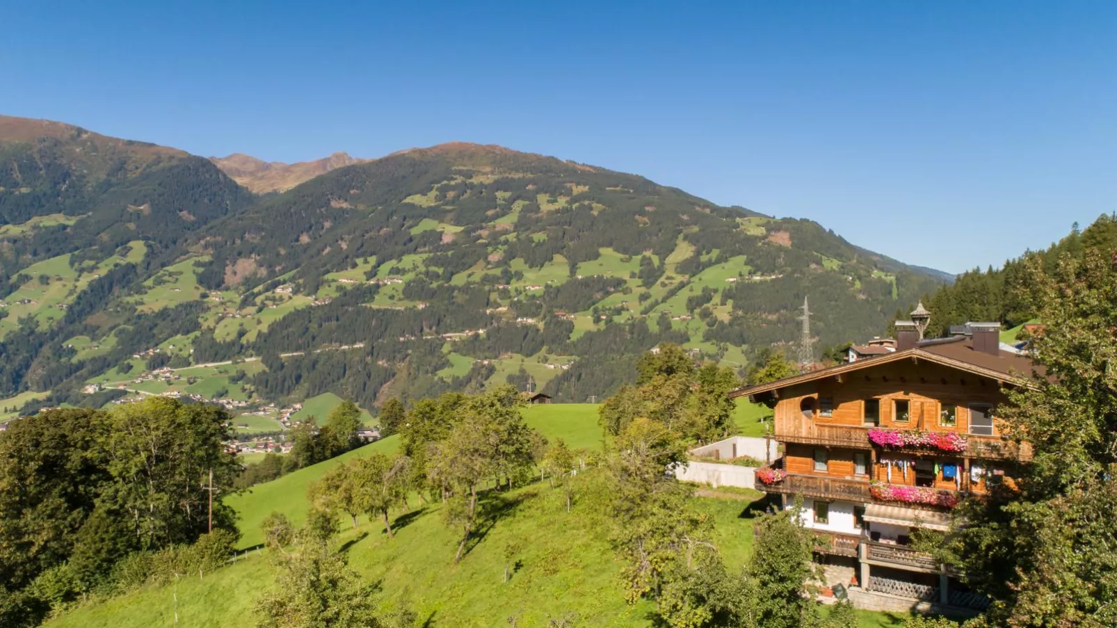 Blaserhof-Exterior summer