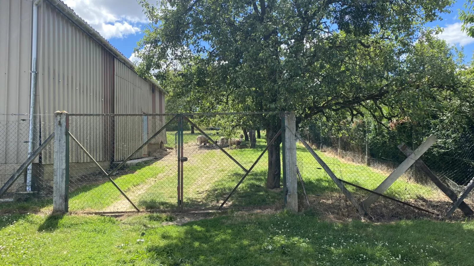 Maison Bolbec-View summer