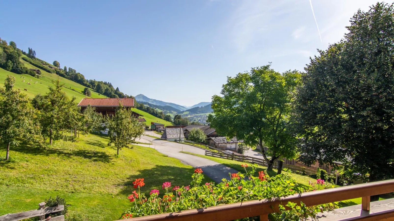 Anderla 1-View summer
