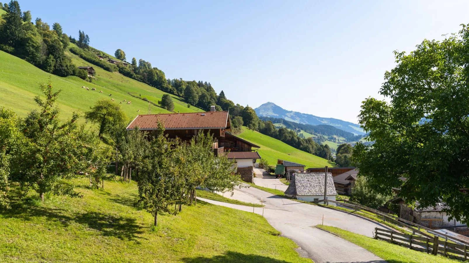 Anderla 1-View summer