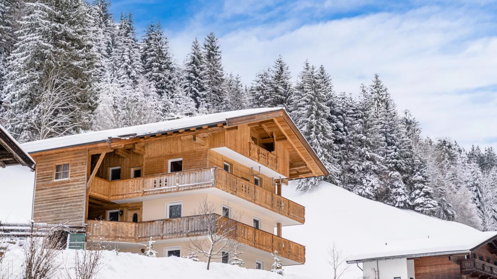 Ferienhaus Nössig-Exterior winter