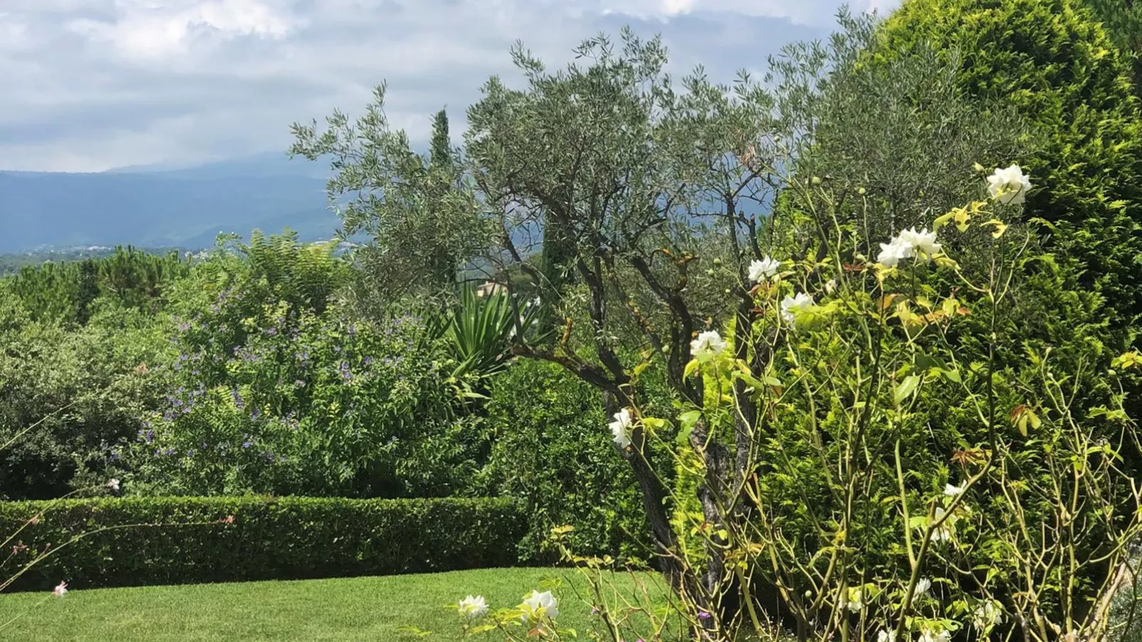 Maison l Arc-View summer