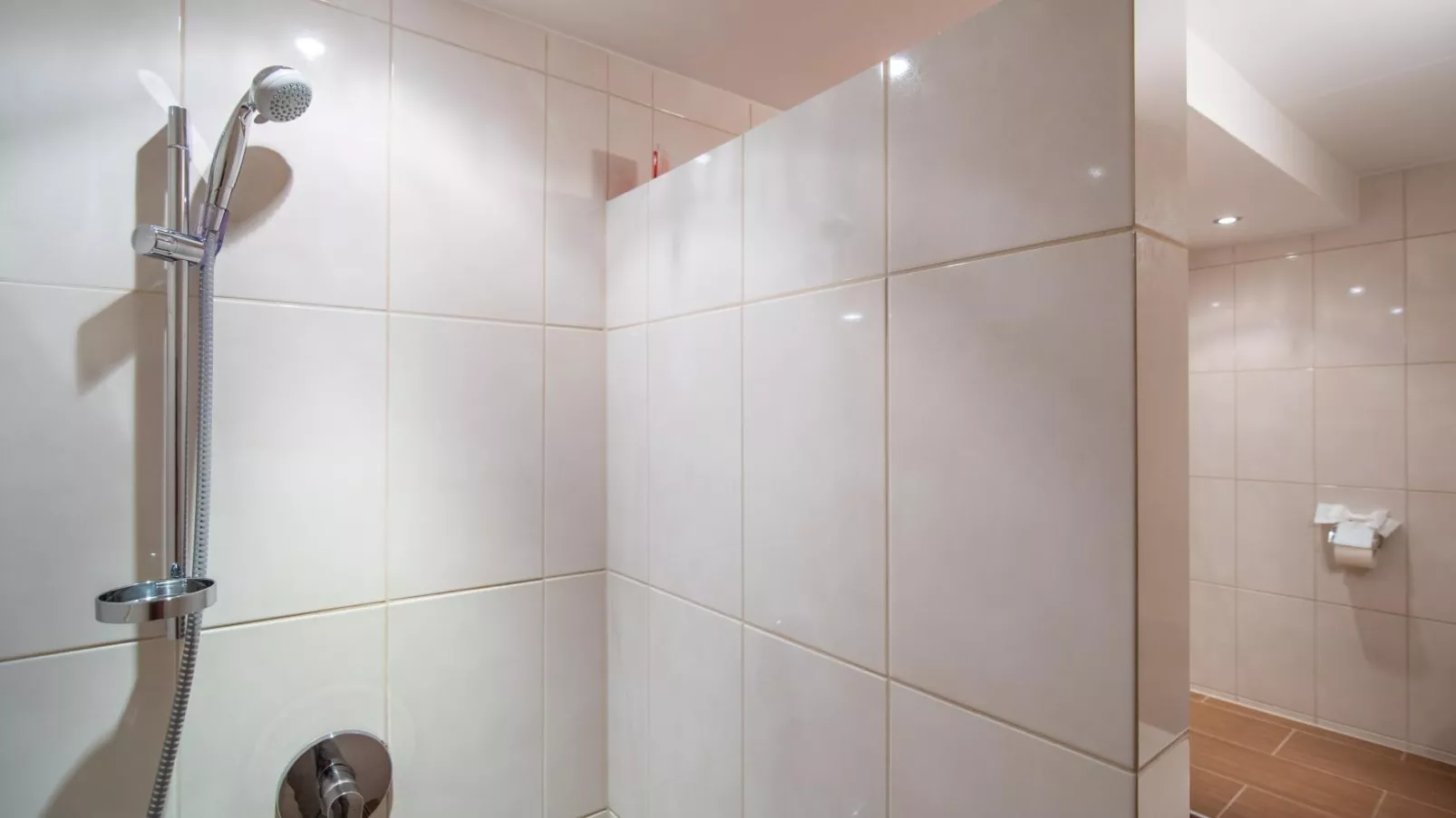 Blick zum Mayrhofen-Salle de bain