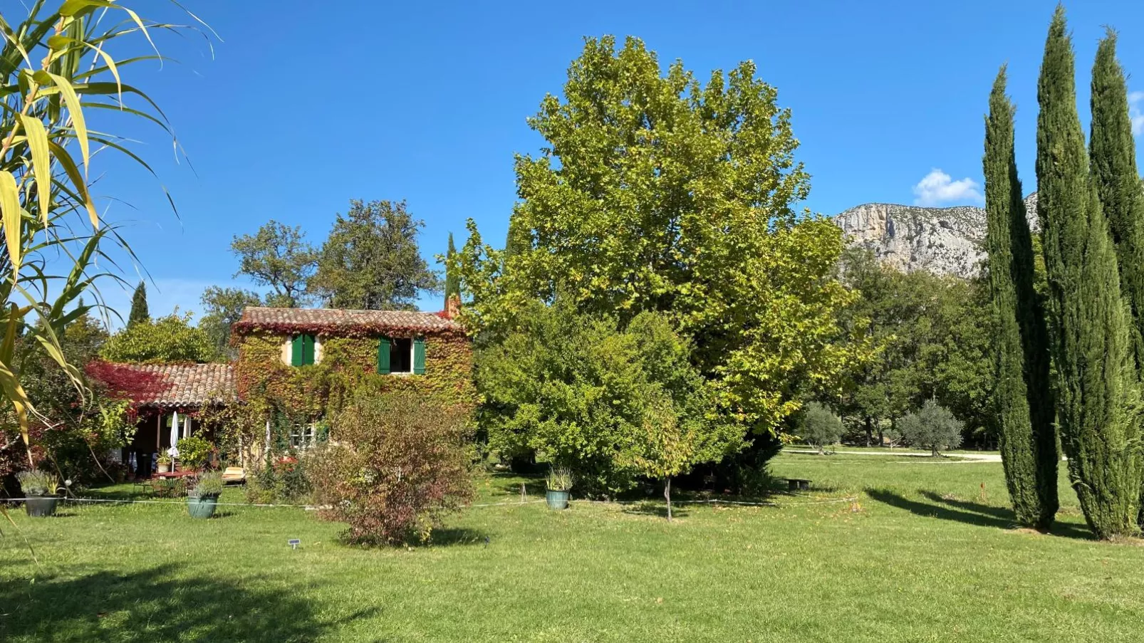 La petite maison de la ferme rose-Jardin d'été