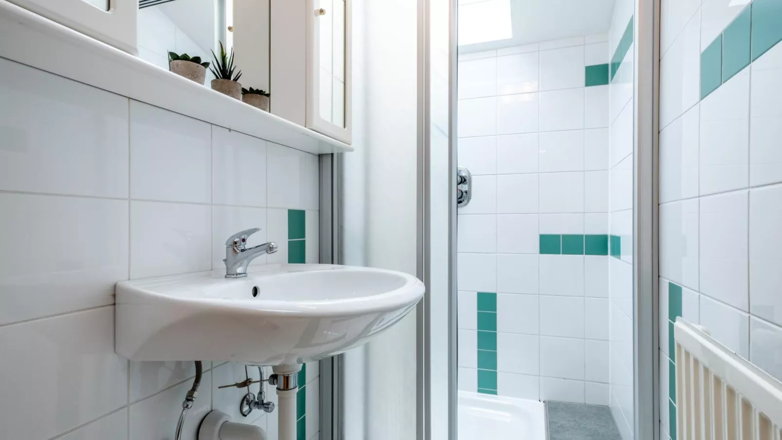 Haslau Large-Bathroom