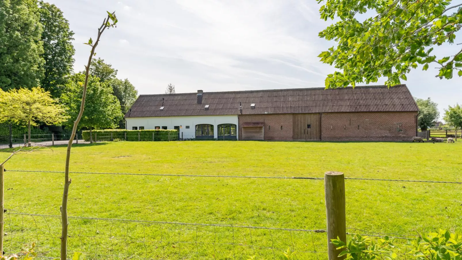 Caprice - Maldegem-Exterior summer