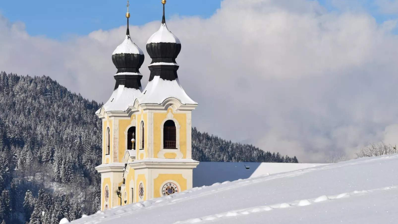 Haus am Waldrand-Area winter 20km