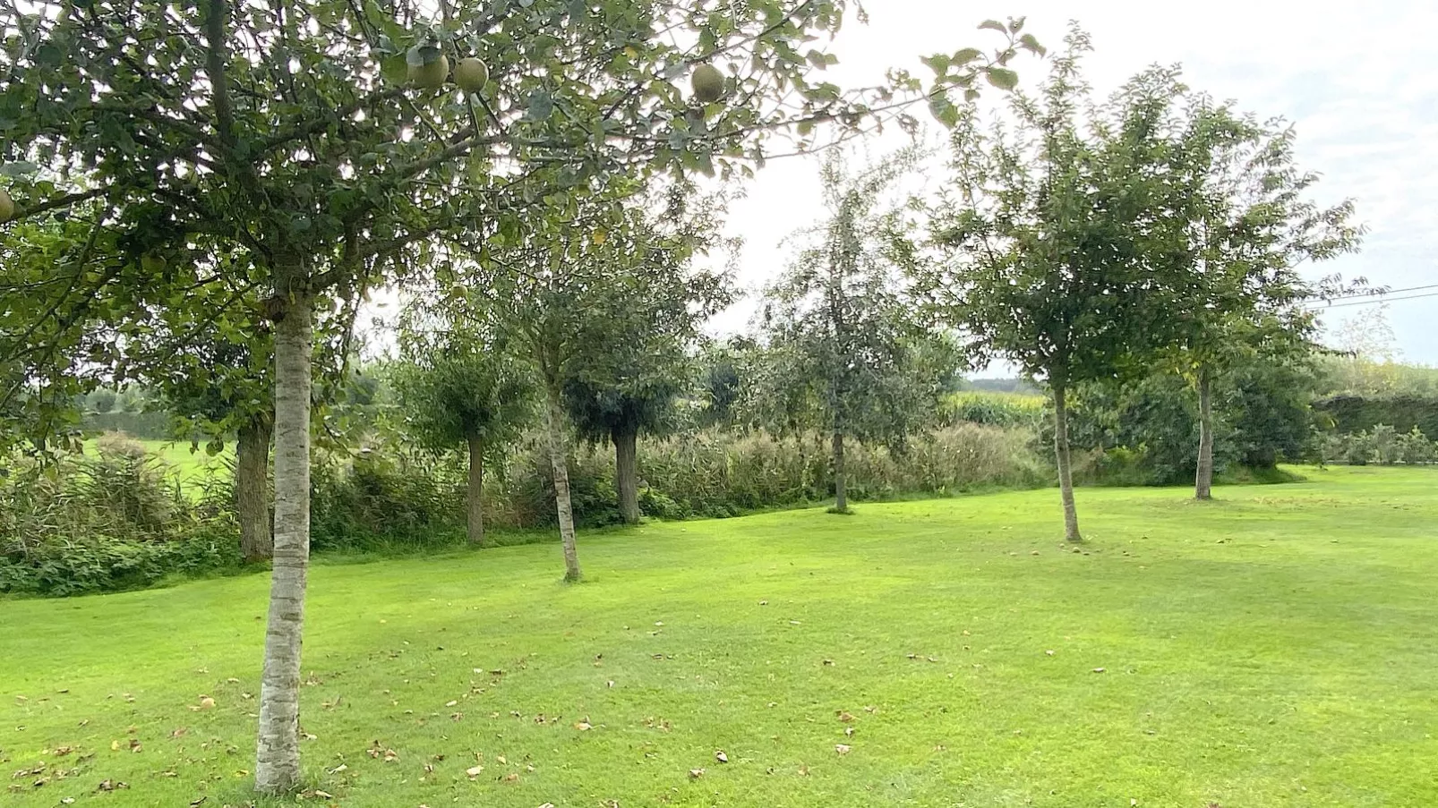 Villa Meersen-Gardens summer