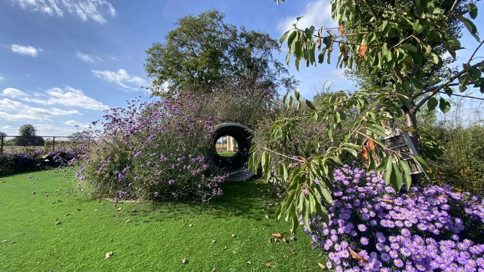 Villa Mareon-Gardens summer