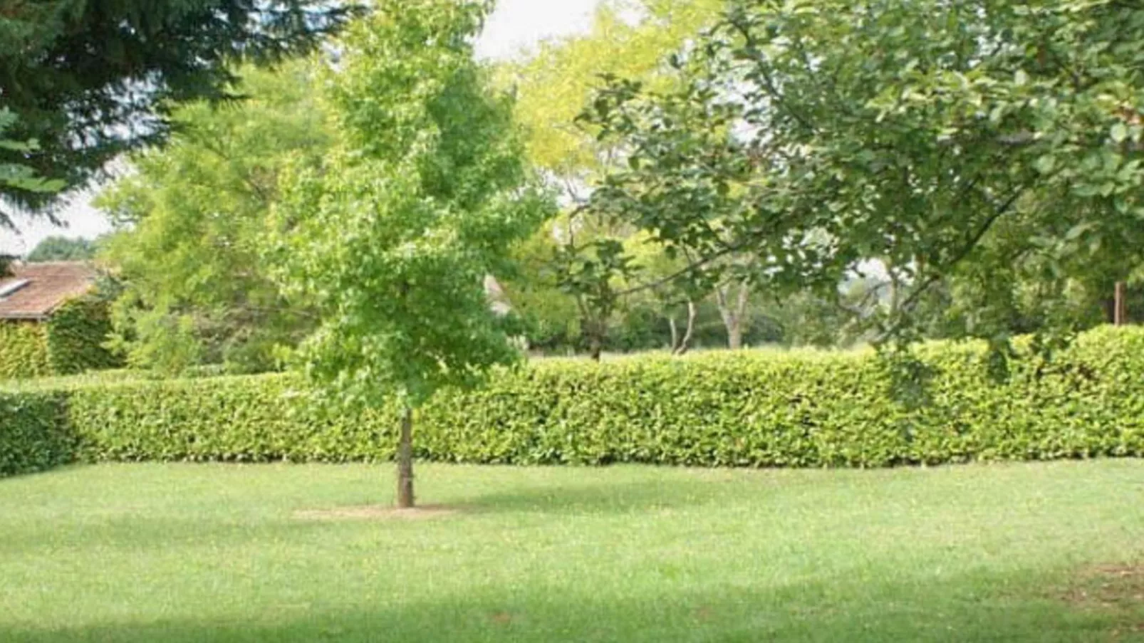Gite Le Pasturale-Gärten Sommer