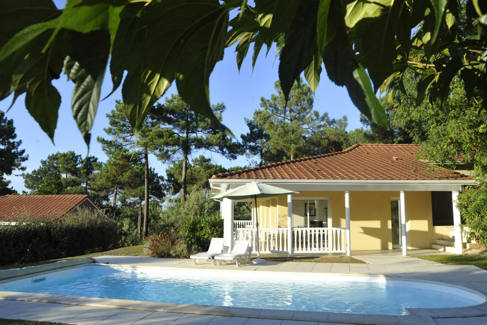 Eden Parc Golf 3-Exterior summer