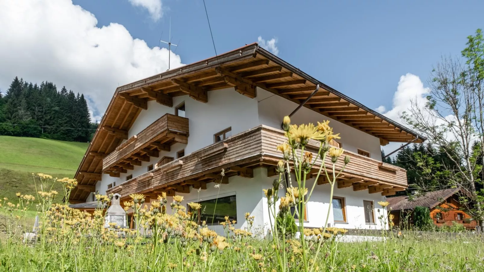 Mooshäusl Large-Exterior summer